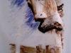 Light and Ink Perspolis .jpg